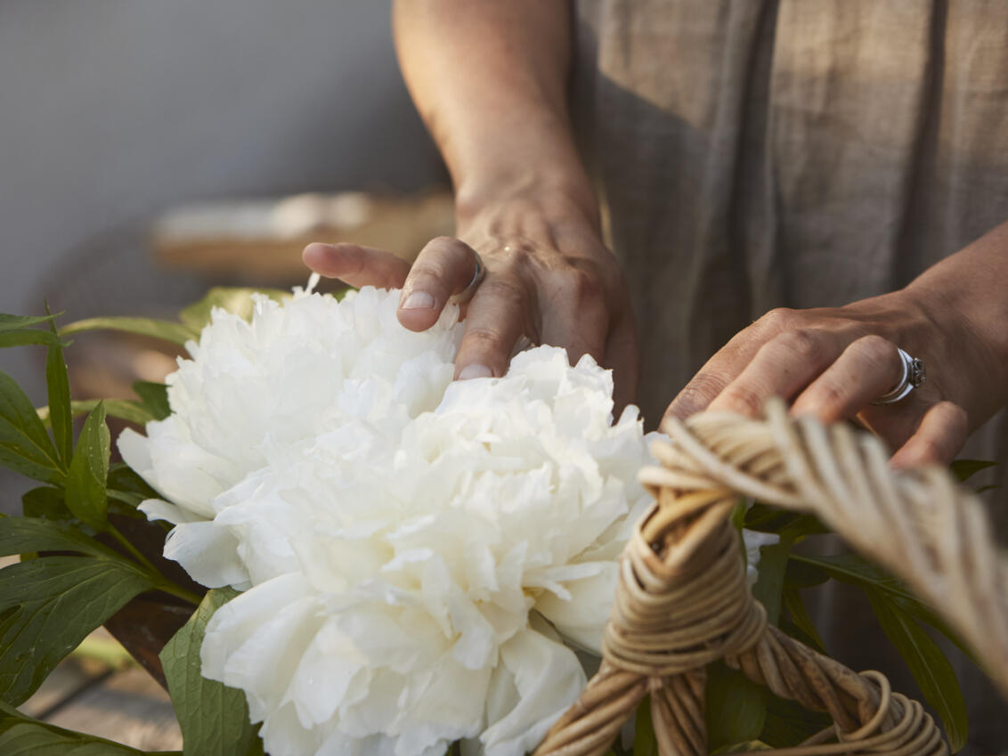 White flowers in a basket.