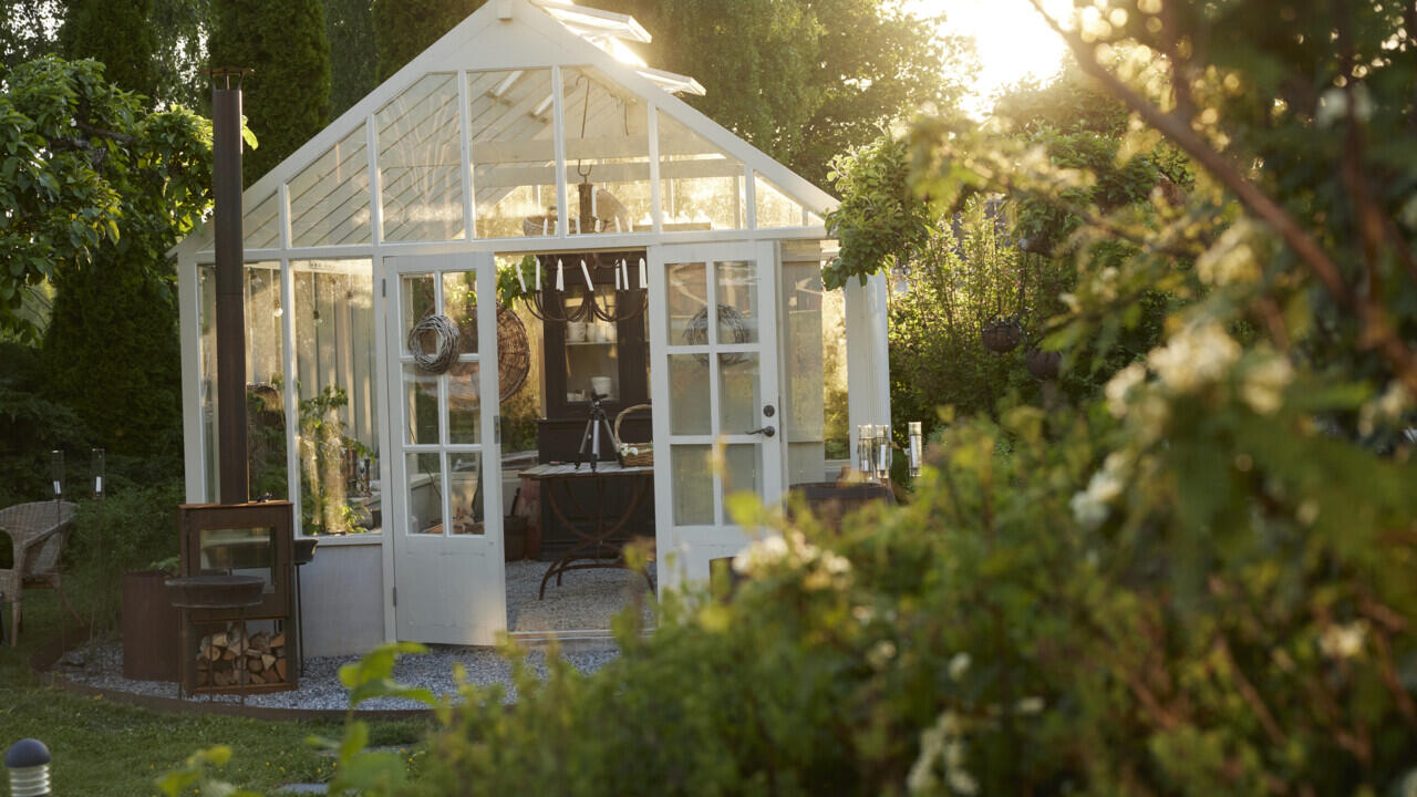 Greenhouse surrounded by greenery in the evening sun.