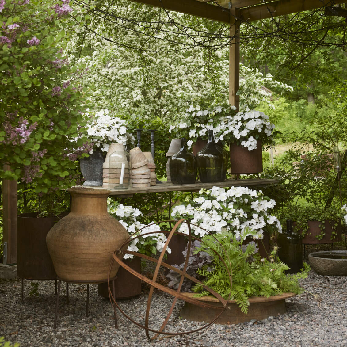 Pots in different sizes arranged on a garden table.
