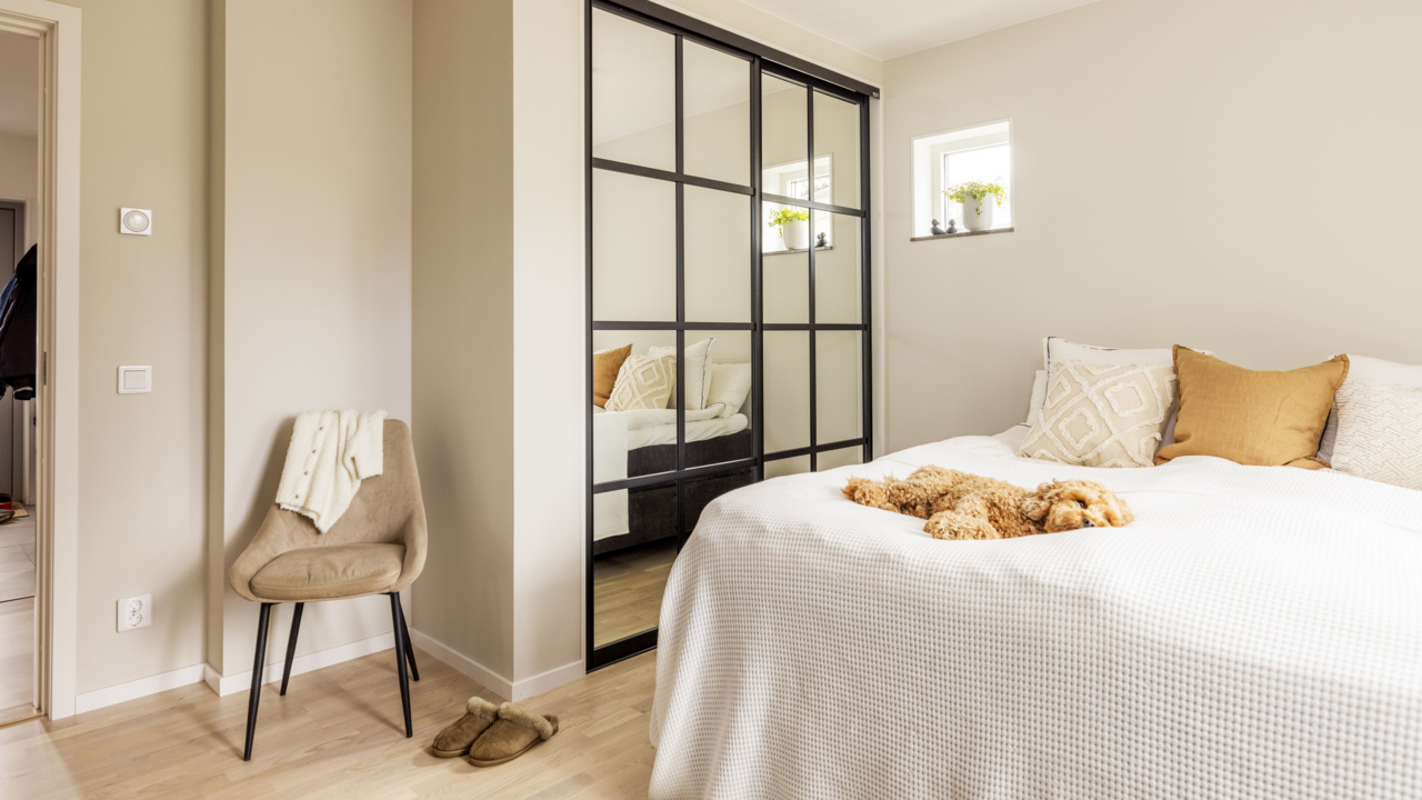 Makuuhuone, jossa koira nukkuu sängyssä Elfan vaatekaapissa, jossa on peilitäytteiset Artic-liukuovet.