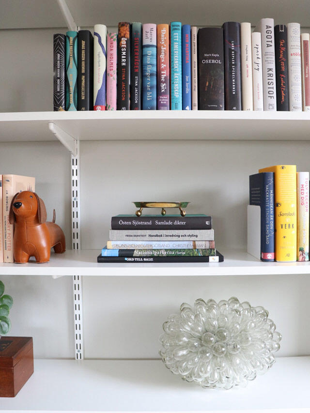 Shelves on the wall with books