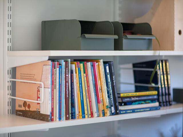 Books on a bookshelf