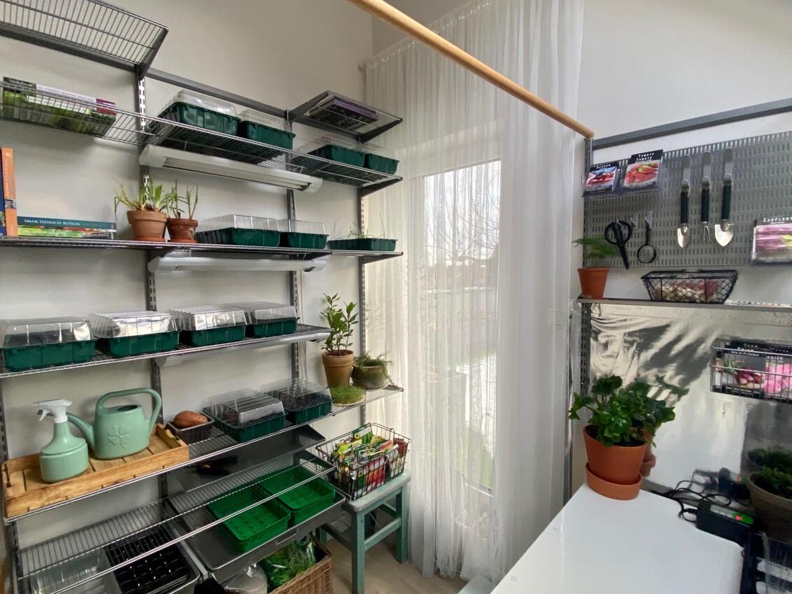 Organized seedling room for indoor plant growing