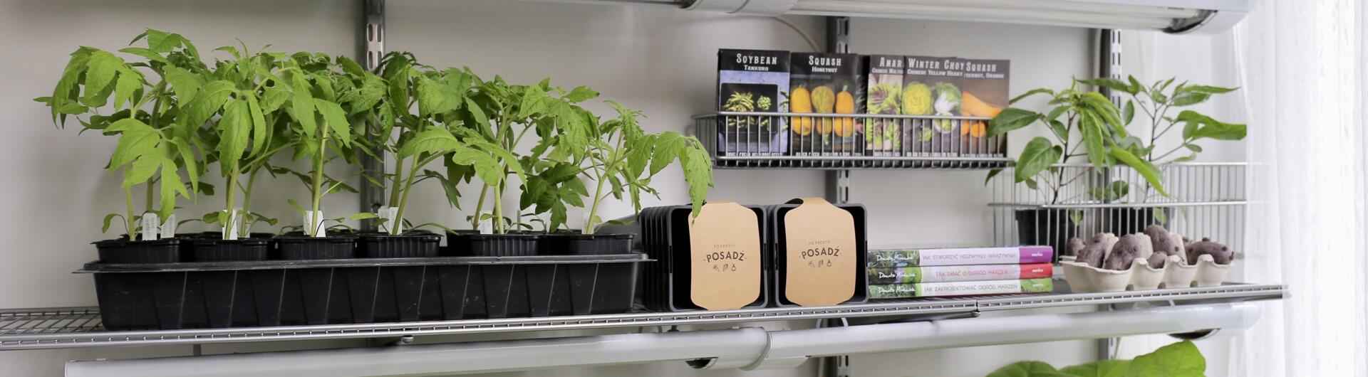 Joanna Żytkowska's urban garden, Poland