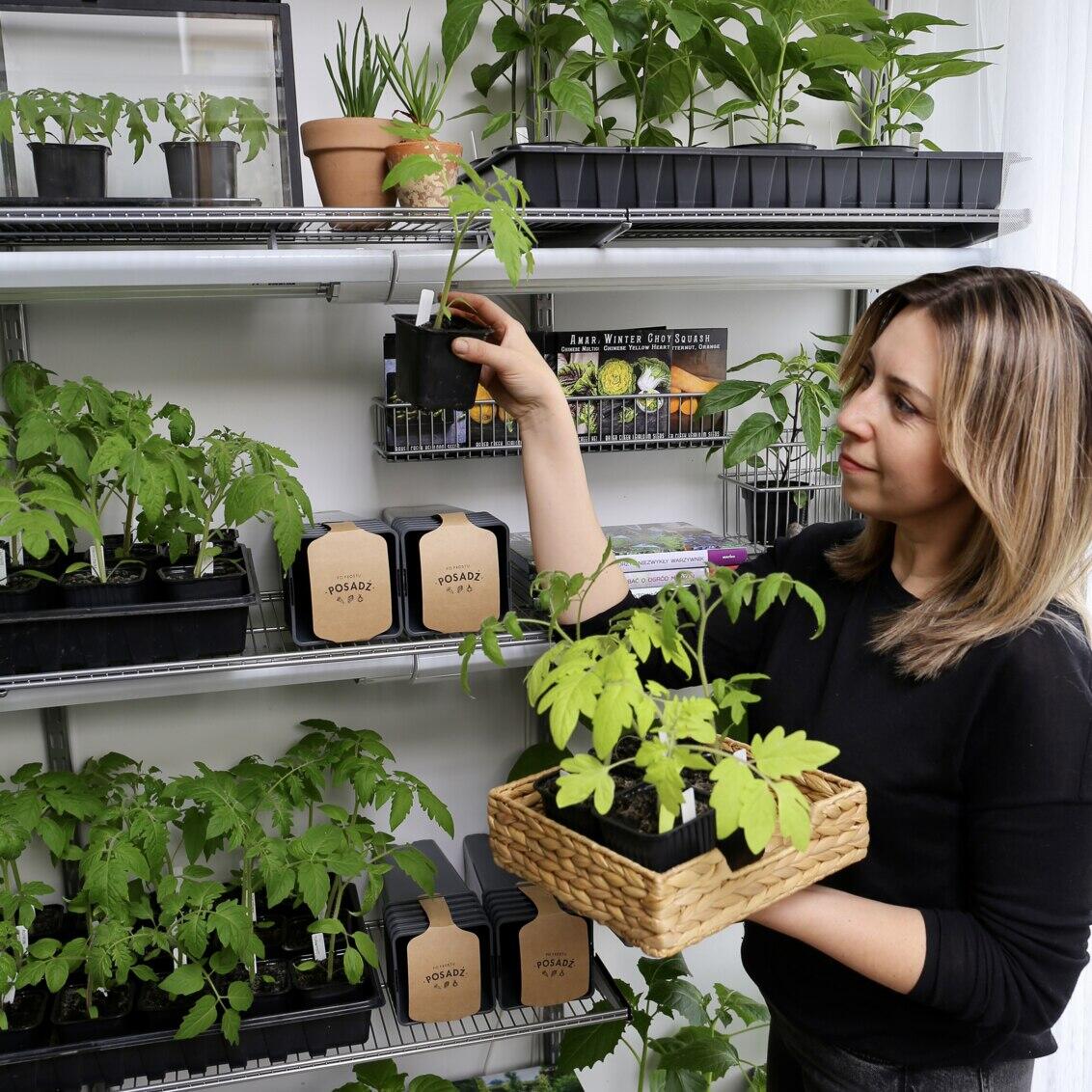 With the click-in system, shelves can be easily adjusted to the height of the growing plants