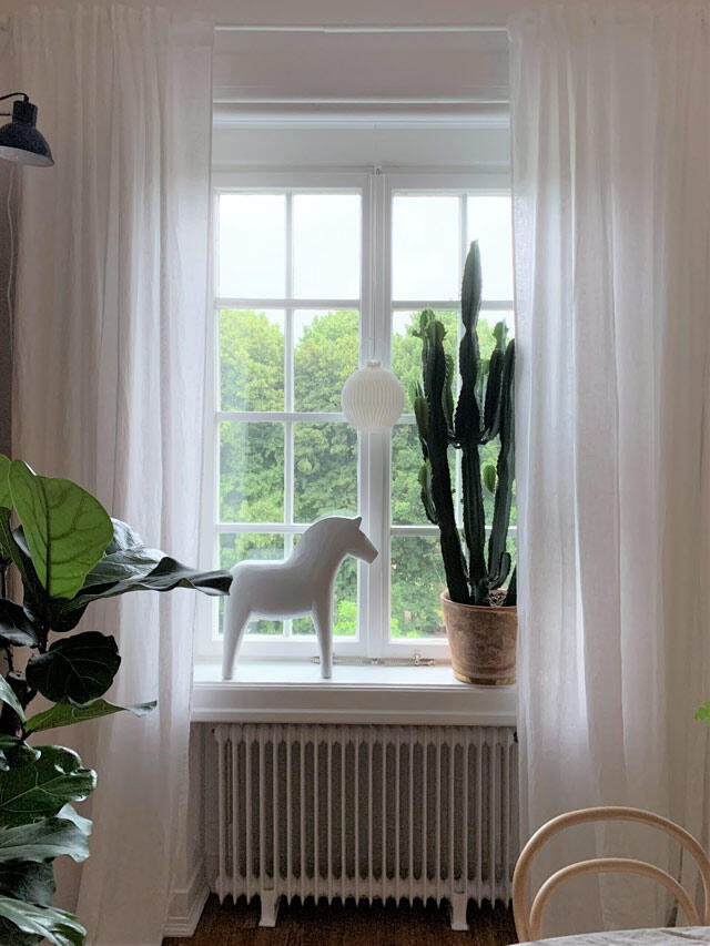 Jasne okno z białymi zasłonami, kaktusem i ozdobnym koniem w skandynawskim wystroju