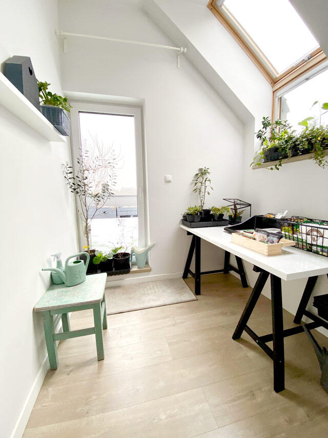 Bright plant room with skylight, workbench and garden tools, before storage implementation
