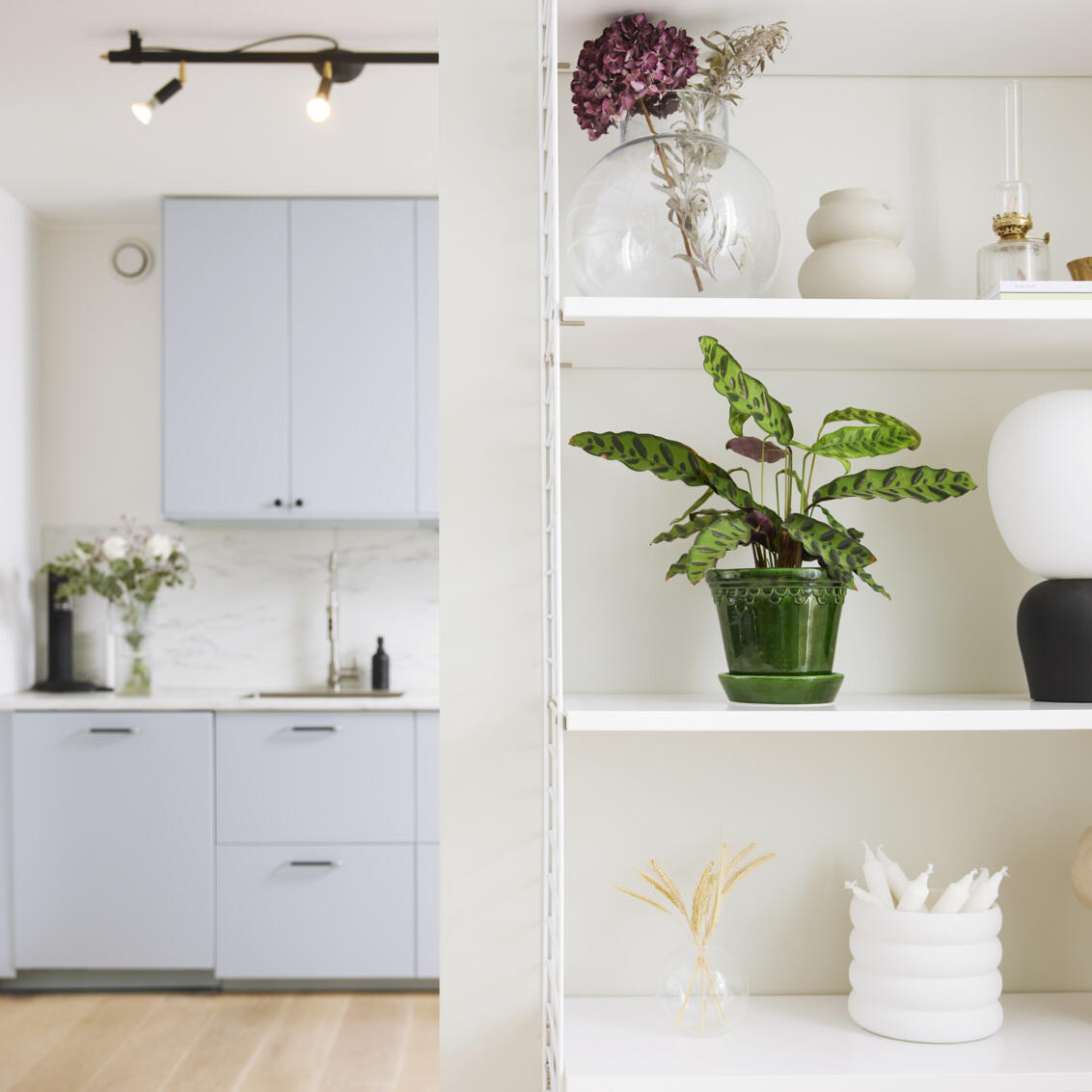 Shelves in living room
