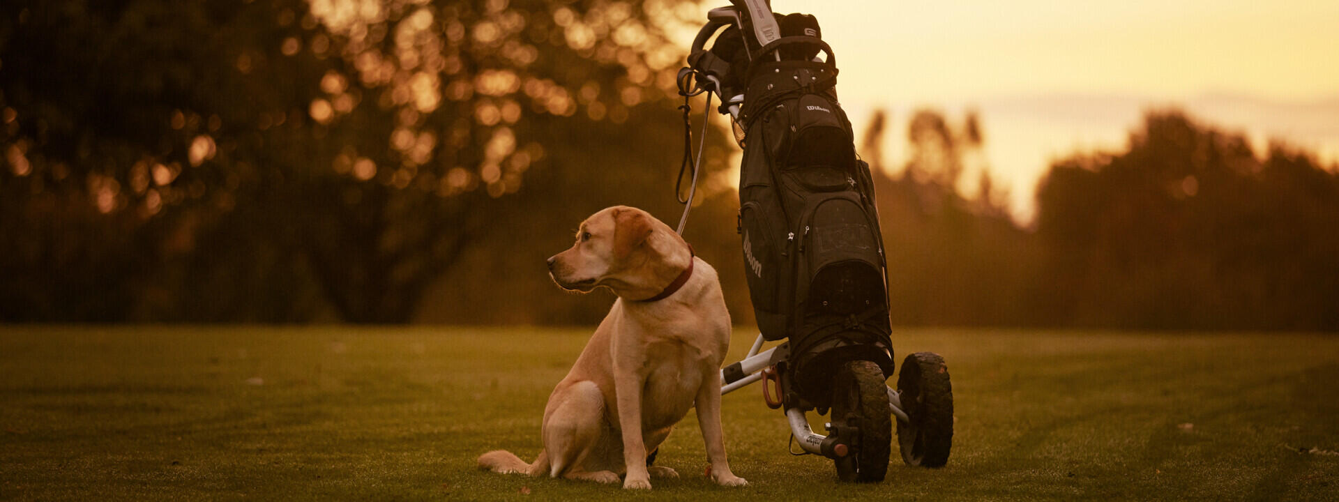 La pasión por el golf necesita almacenamiento para el palo de golf