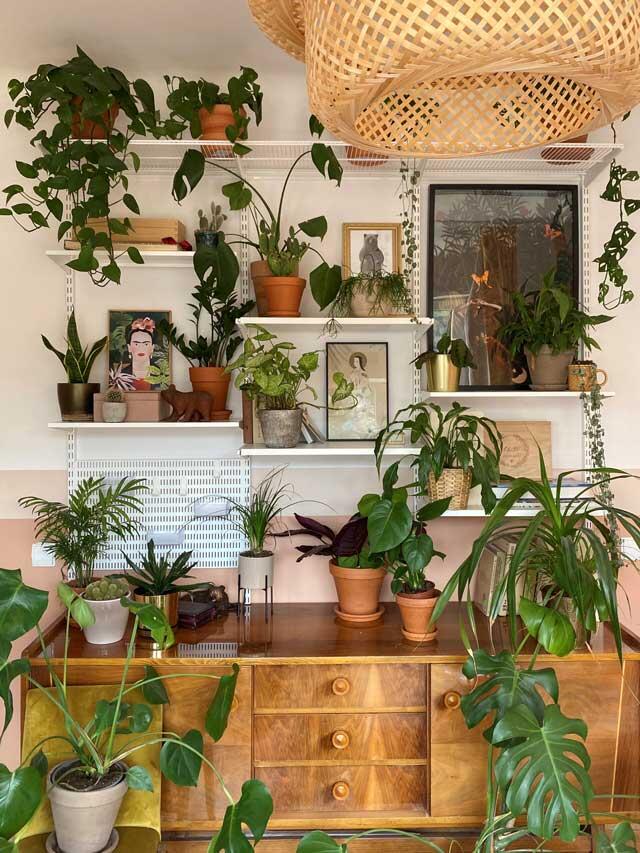 Plants and paintings neatly arranged on Elfa shelves as decoration