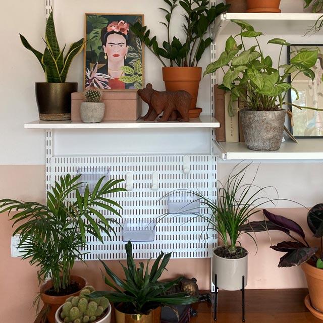 Elfa wall shelves with plants and decorative items