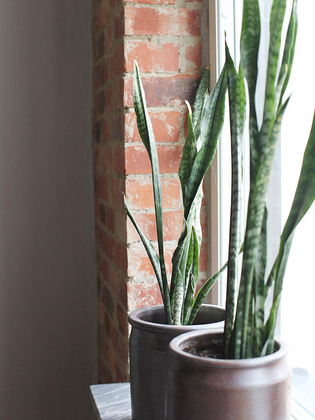 Maria visit living room window