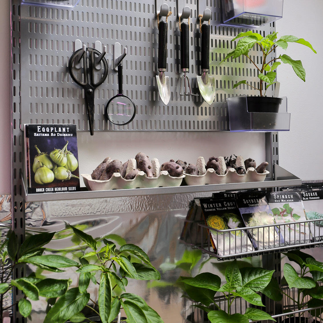 Elfa pegboard holds different tools 